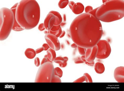 White Blood Cell In Hi Res Stock Photography And Images Alamy