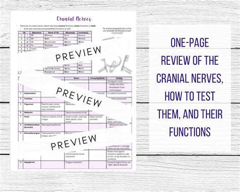 Cranial Nerves Nursing Cheat Sheet Nerve Functions And Tests Used