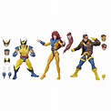 Buy Hasbro Marvel Legends Series: 6-inch Collectible Action Figures X ...