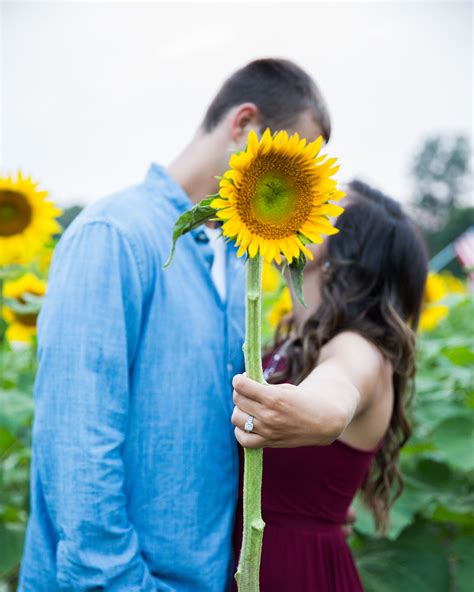 engagement photoshoot sunflower field couple photoshoot engagement photoshoot couples