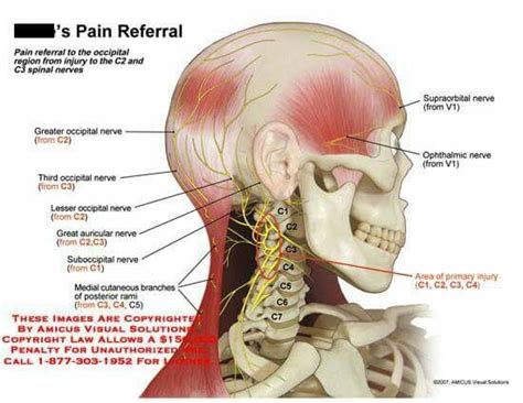 Pin On Health Occipital Neuralgia