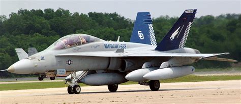 Vmfaaw 533 Hawks Marine Fighter Attack Squadron Fa 18d