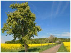 Unser haus der familie bietet in windheim zur aufnahme von bewohnern insgesamt 52 stationäre pflegeplätze an. Altenheim Haus der Familie - &Â&Windheim inÂ&Unterfranken ...