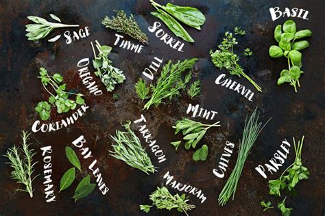 How To Cook With Herbs Features Jamie Oliver