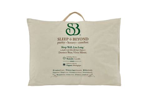 Sleep And Beyond Certified Organic Merino Wool Pillow Healthy Child