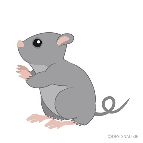 Clipart Mouse 10 Free Cliparts Download Images On Clipground 2023