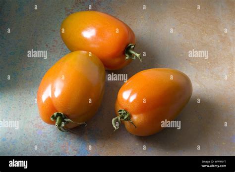 Plum Coloured Hi Res Stock Photography And Images Alamy