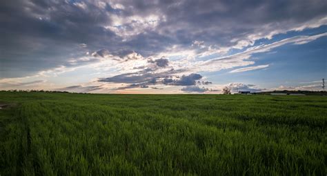 3840x2069 Clouds Landscape Nature Sky Spring Wheat Field 4k