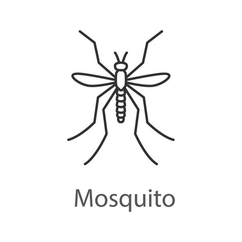 Mosquito Linear Icon Insect Midge Gnat Thin Line Illustration