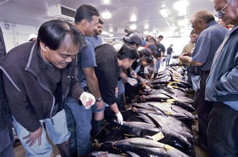 Bigeye Tuna Fishing Ban Canceled Honolulu Star Advertiser