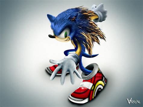 The Real Sonic The Hedgehog By V Trayal On Deviantart