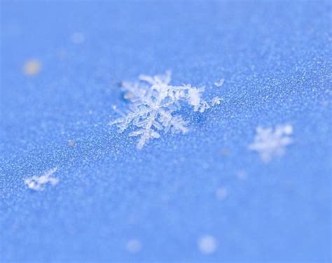 Unique And Beautiful Snowflakes 49 Pics