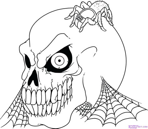 Use these images to quickly print coloring pages. Skull Anatomy Coloring Pages at GetDrawings | Free download