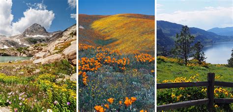 Best Spring Hikes For Wildflowers Around The Us Alices Adventures On