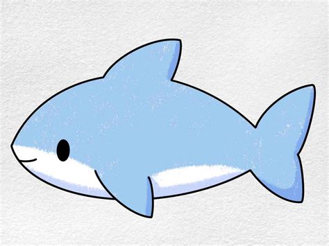 Cute Shark Illustration