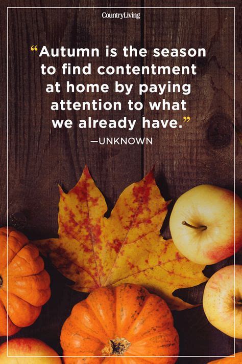 Fall Quotes To Remind You Just How Beautiful This Season Is Autumn