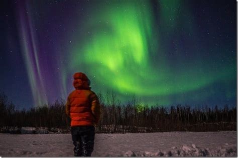 Chasing The Fairbanks Northern Lights A Truly Incredible Sight In