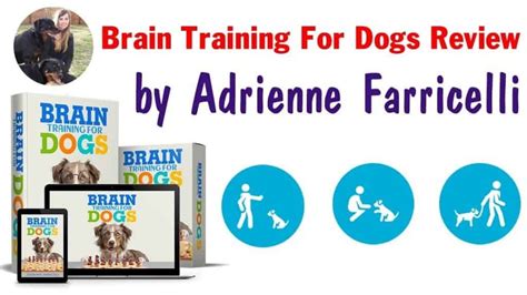 Brain Training For Dogs Course Review 2024 Improve Your Dogs Iq