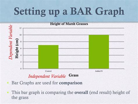 Bar Graph Independent And Dependent Variables - Free Table Bar Chart