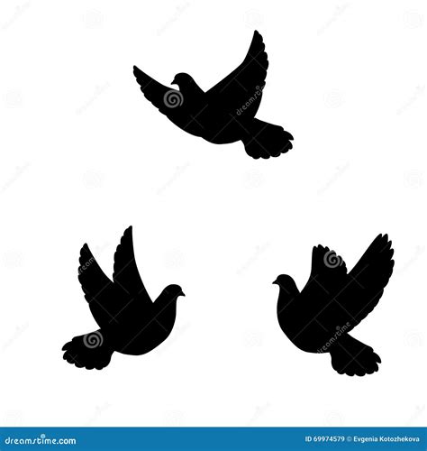 Silhouette Flying Pigeons Stock Vector Illustration Of Background