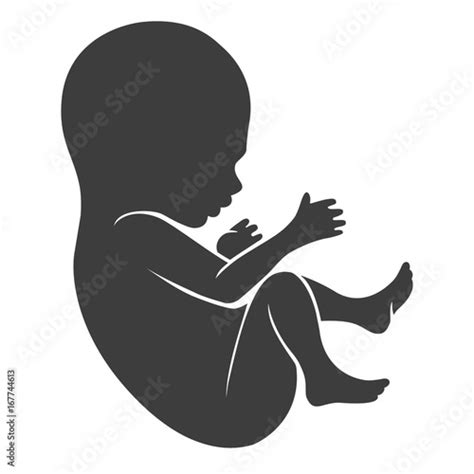 Human Fetus Icon Or Newborn And Unborn Baby Silhouette Isolated On