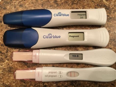 Can A Cyst Cause A False Positive Pregnancy Test Pregnancywalls