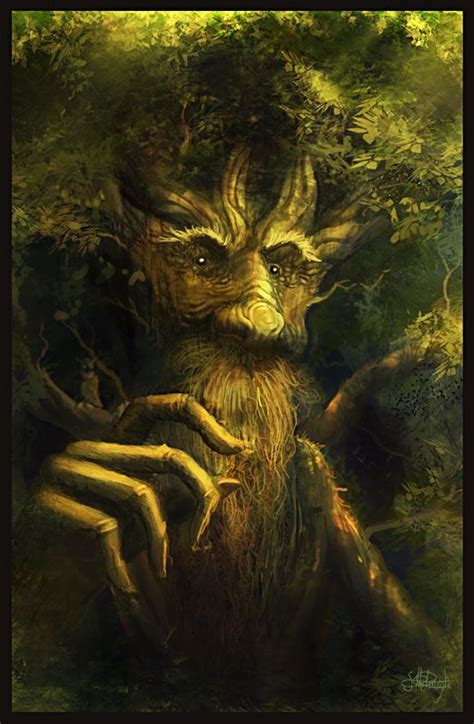 Acicueta Treebeard Enchanted Tree Tolkien