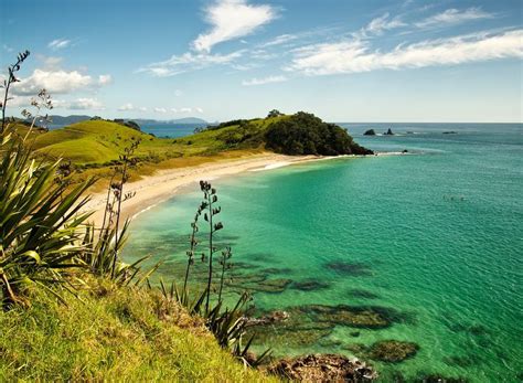 The 10 Best Beaches On New Zealands North Island New