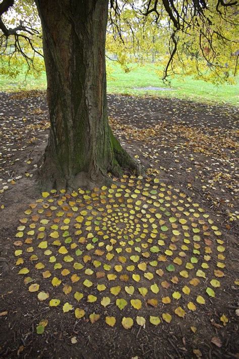 James Brunt Artist Autumn Leaves Deco Nature Nature Art Land Art