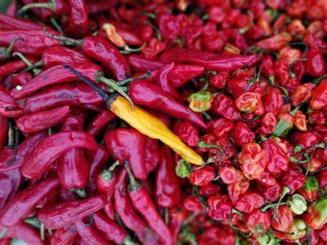 Chili Pepper Pictures Download Free Images On Unsplash