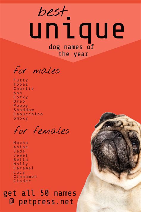 Best Unique Dog Names Of The Year In 2021 Dog Names Dog Names Unique