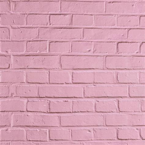Pink Brick Wall Ubicaciondepersonascdmxgobmx