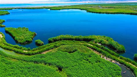 Bosten Lake Dons Summer Apparel With Green Marshes In Nw China Cgtn