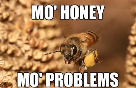 Whats The Buzz All About Bees Know Your Meme