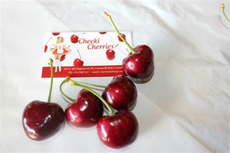 Cheeki Cherries Cromwell Updated 2019 All You Need To Know Before