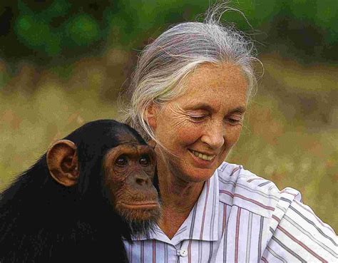 Jane Goodall Nincs Sok Időnk Független Hírügynökség