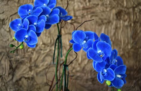 artificial blue orchid arrangement preserved floral arrangements and silk flowers