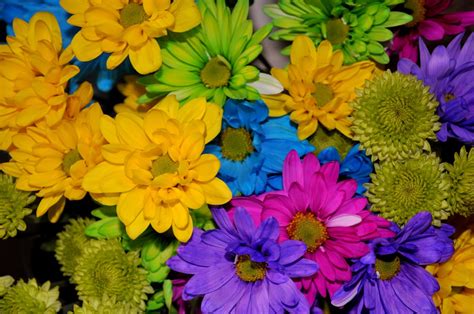 Home And Garden Color Your Own Flowers