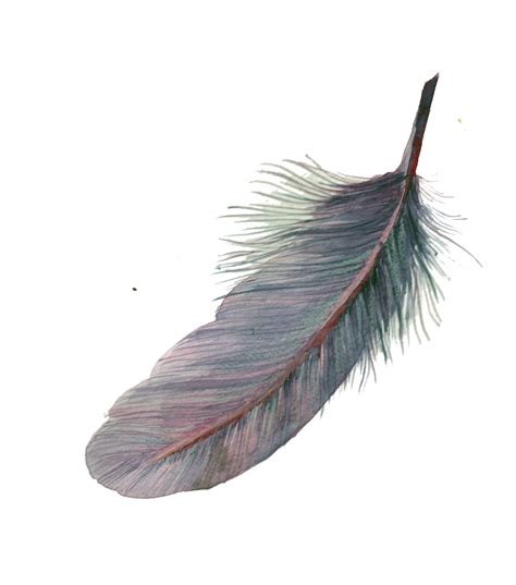 Feather Watercolor painting Pixel - feather png download - 1322*1498 - Free Transparent Feather ...