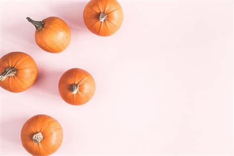 Pumpkins On Pink Background Pink Background Pumpkin Pastel Pink