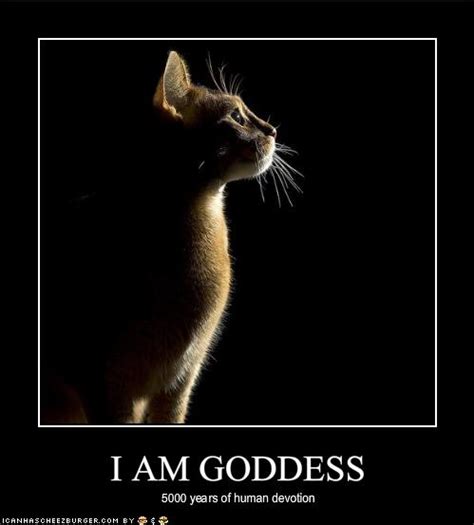 I Am Goddess Cheezburger Funny Memes Funny Pictures