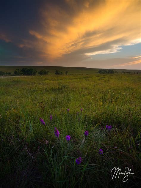 Tallgrass Prairie Summer Sunset Tallgrass Prairie National Preserve