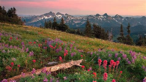 Summer Mountain Wallpaper 57 Images