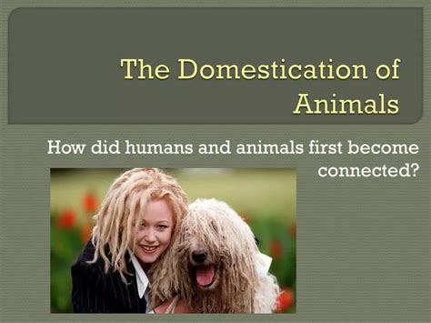 Ppt The Domestication Of Animals Powerpoint Presentation Free