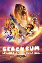 Watch The Beach Bum (2019) Full Movie Online Free - CineFOX