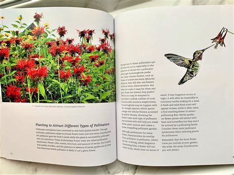 The Pollinator Victory Garden Book Review And Giveaway My Wahm Plan