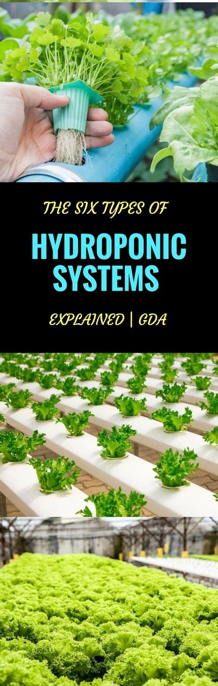 5 Different Types Of Hydroponic Systems Explained Gda