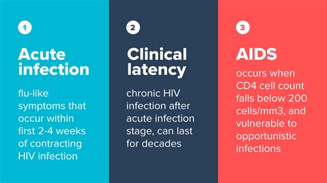 Stages Of Hiv Depending On Symptoms And Cd4 Counts