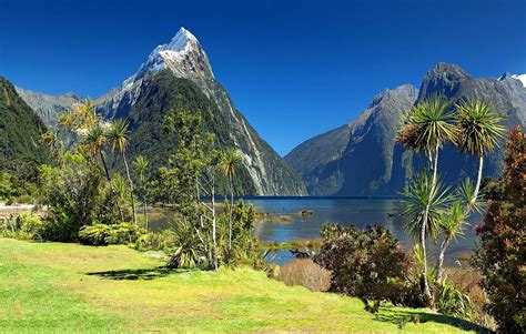 Seriously Great Reasons To Go To New Zealand