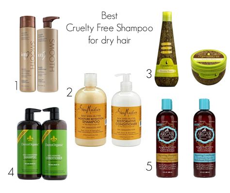 We tested 18 easy hairstyles for curly hair and ranked them from 'super easy' to 'uh, give me a sec'. BEST CRUELTY FREE SHAMPOO FOR DRY HAIR